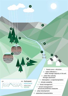 An Approach to Evaluate Mountain Forest Protection and Management as a Means for Flood Mitigation